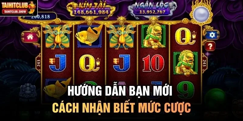 Hướng dẫn bạn mới cách nhận biết mức cược